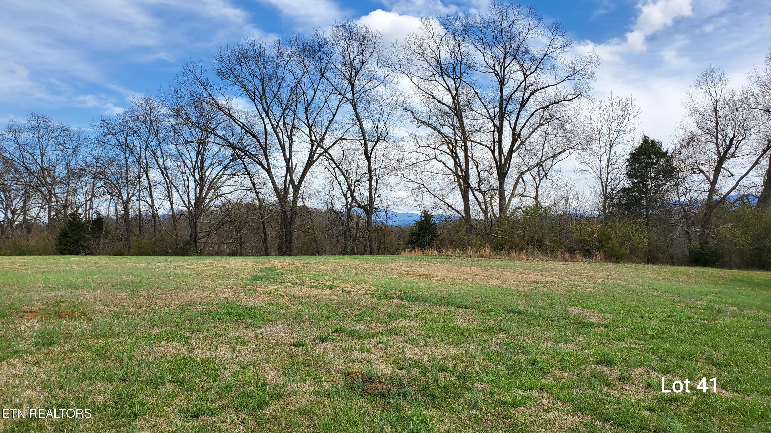 L41 Thunder Ridge Drive, Vonore, TN - Fort Loudoun and Tellico Lake Real Estate - Image# 9