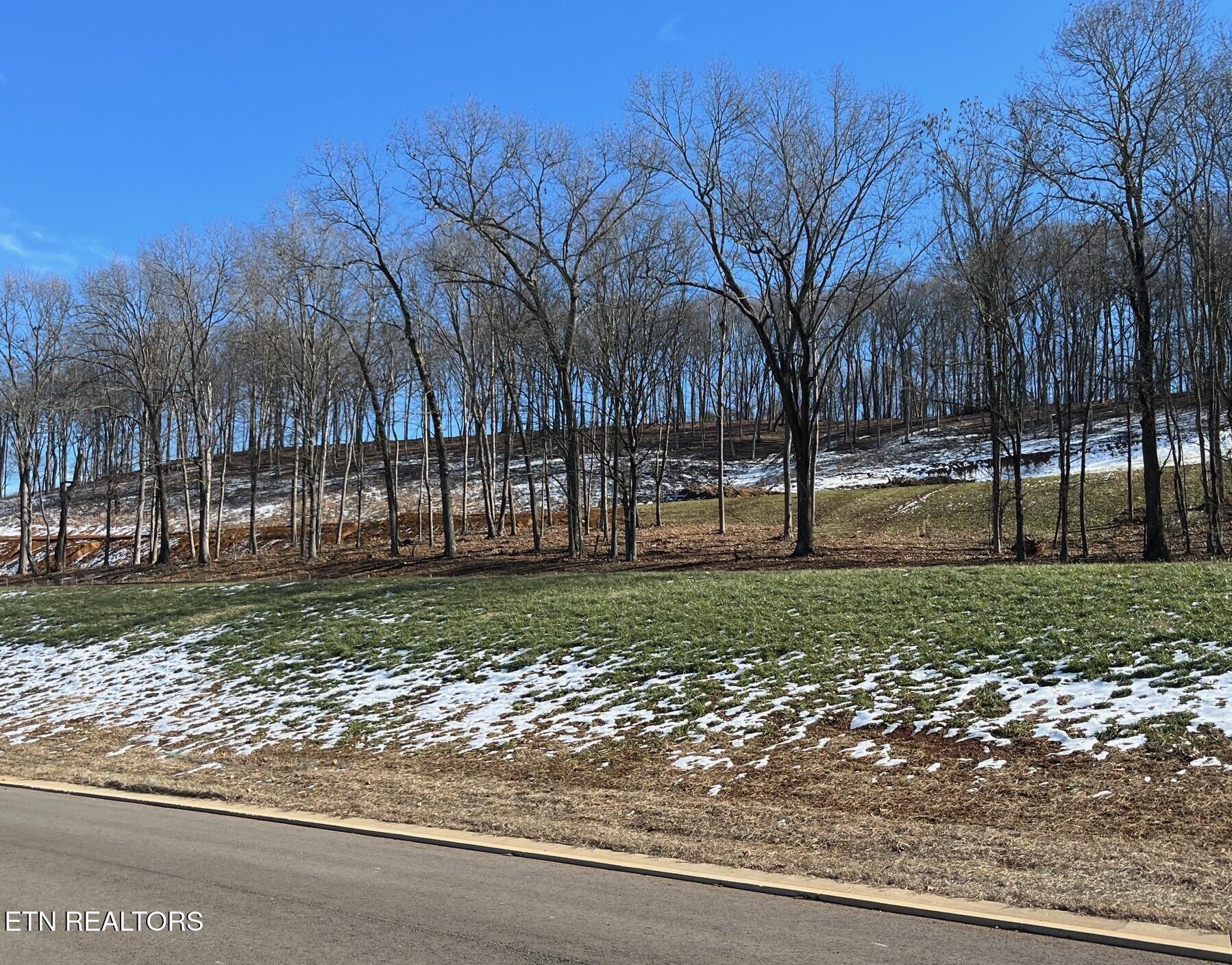1912 Black Bear Circle, Loudon, TN - Fort Loudoun and Tellico Lake Real Estate - Image# 2