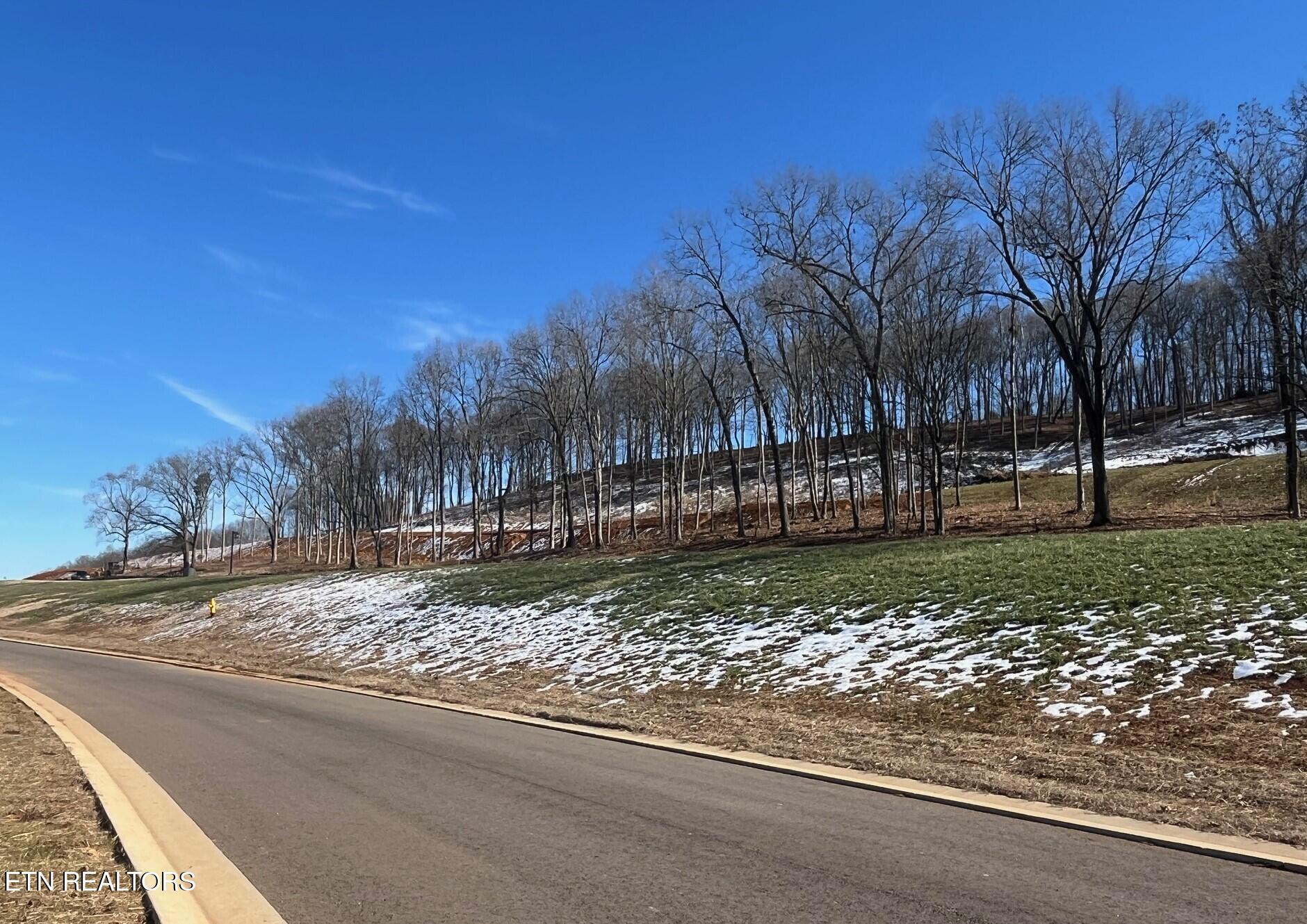 1912 Black Bear Circle, Loudon, TN - Fort Loudoun and Tellico Lake Real Estate - Image# 5