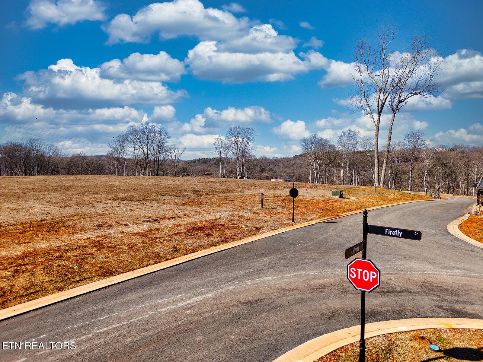 113 Firefly Drive, Loudon, TN - Fort Loudoun and Tellico Lake Real Estate - Image# 13