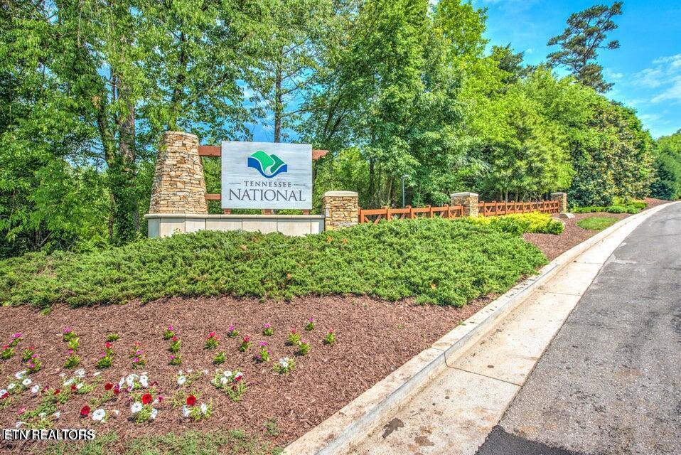 113 Firefly Drive, Loudon, TN - Fort Loudoun and Tellico Lake Real Estate - Image# 35