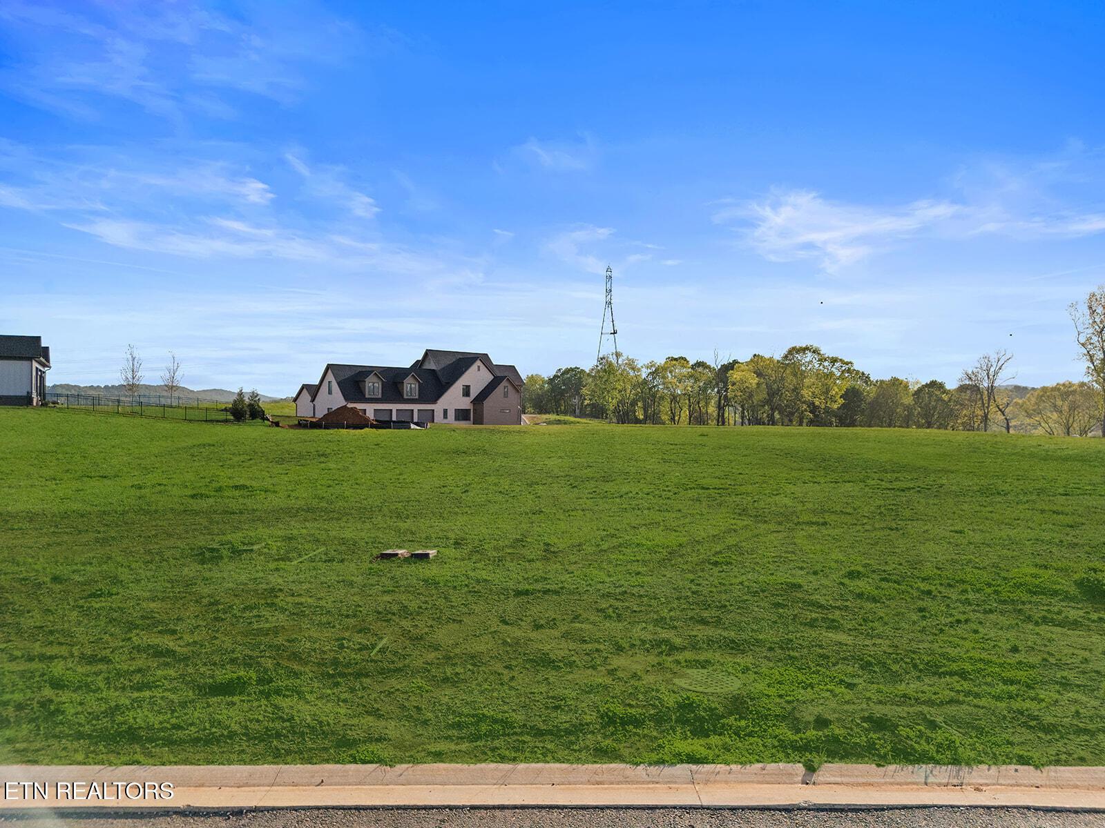 113 Firefly Drive, Loudon, TN - Fort Loudoun and Tellico Lake Real Estate - Image# 8