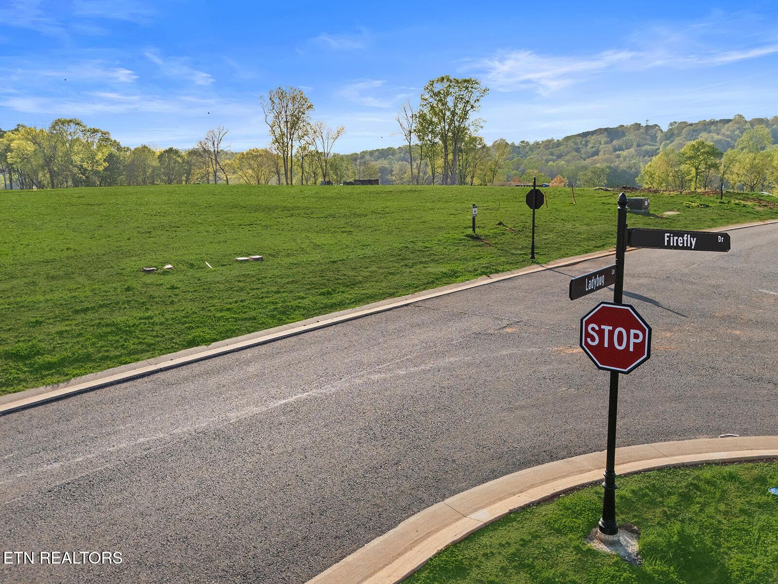 113 Firefly Drive, Loudon, TN - Fort Loudoun and Tellico Lake Real Estate - Image# 18