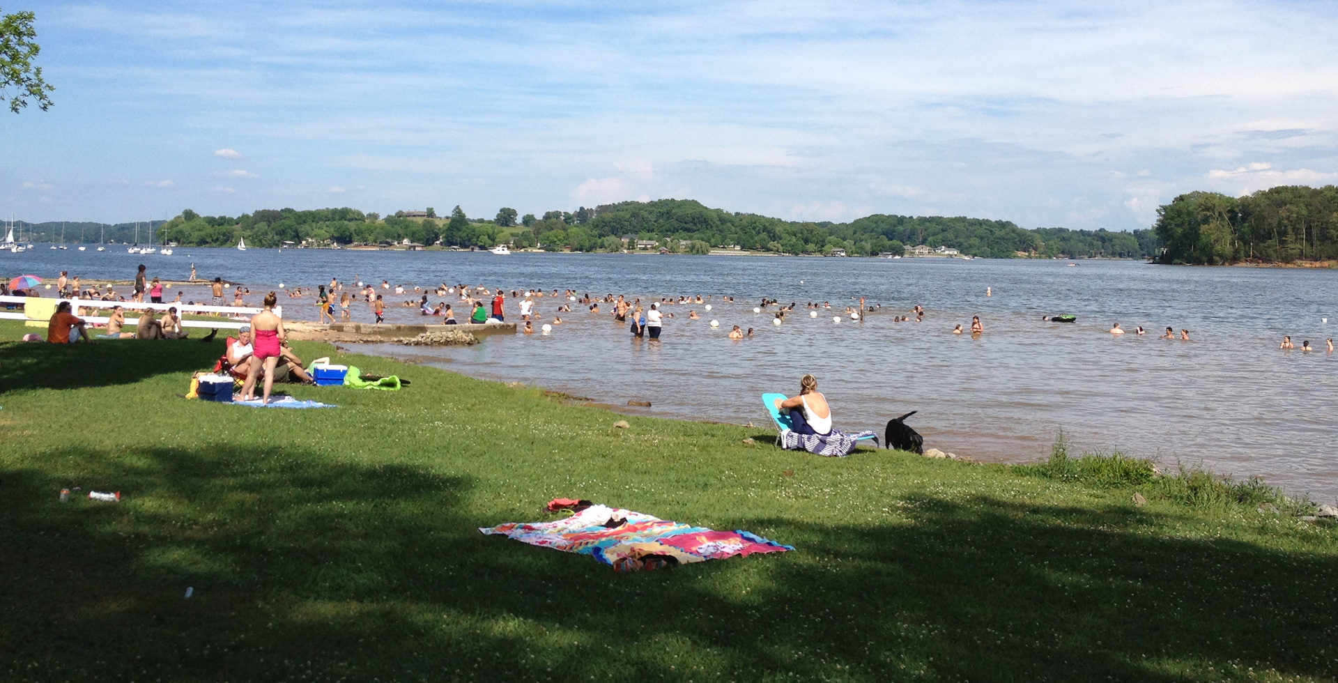 Swimming at the Cove at Concord Park
